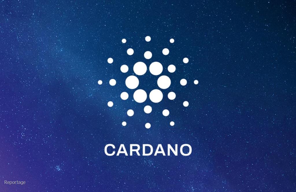 کیف پول های کاردانو چگونه کار می کنند